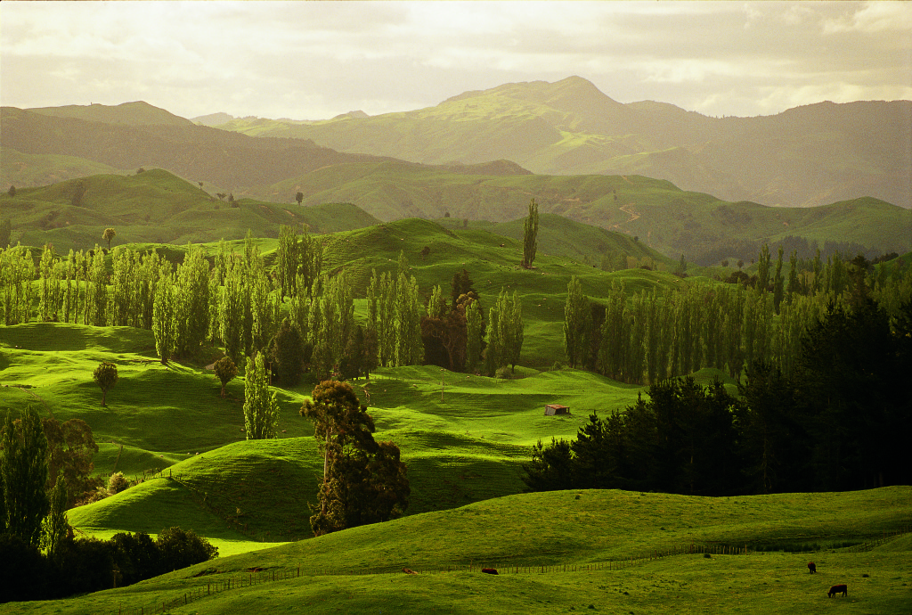 Kiwikino Neuseeland Und Seine Filme Pacific Travel House Blog