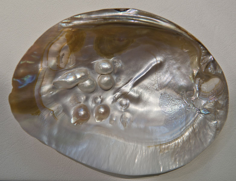 HannesGrowe_AWI_Pearls