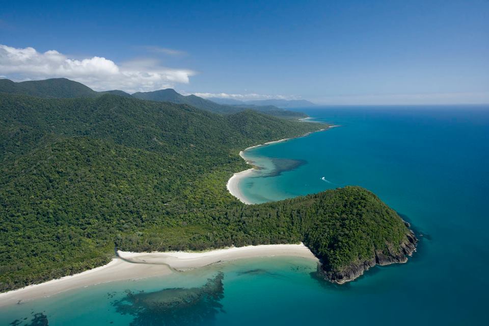 45 km nördlich von Port Douglas befindet sich das Cape Tribulation, das "Kap des Trübsals"