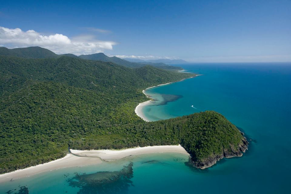 45 km nördlich von Port Douglas befindet sich das Cape Tribulation, das "Kap des Trübsals"