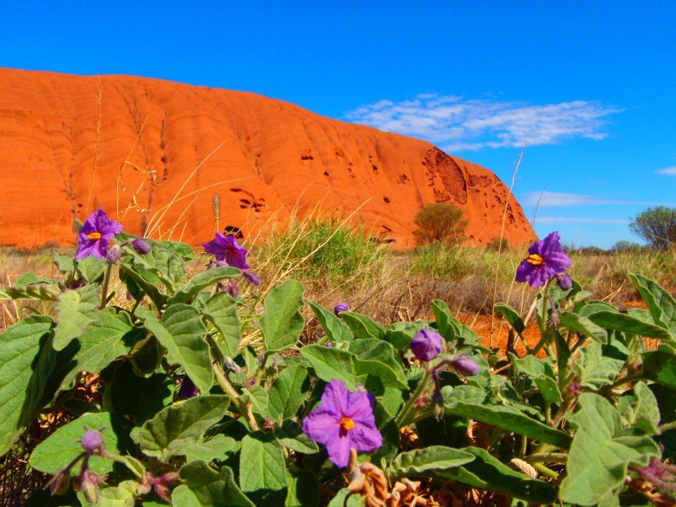 Ayers Rock