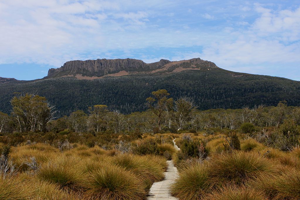 Sumpf-Land am Overland Track