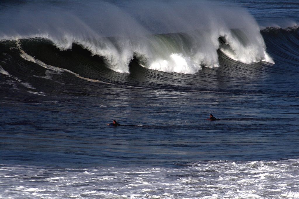 Surfing