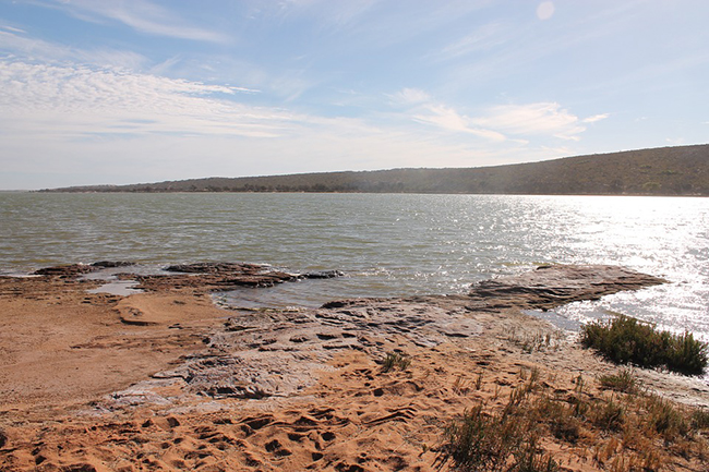 Murchison River