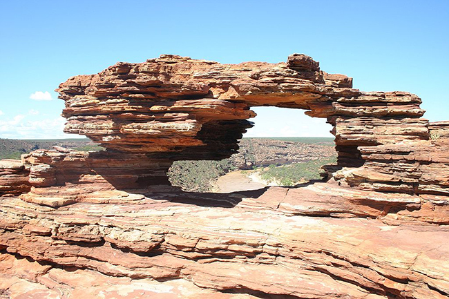 Nature`s Window