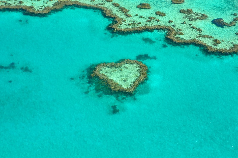 Fakten Zum Great Barrier Reef Pacific Travel House Blog
