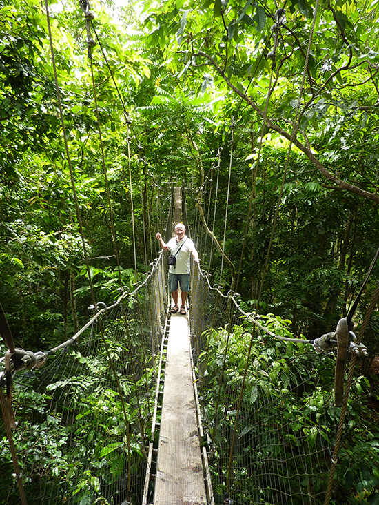 Falealupa Walkway