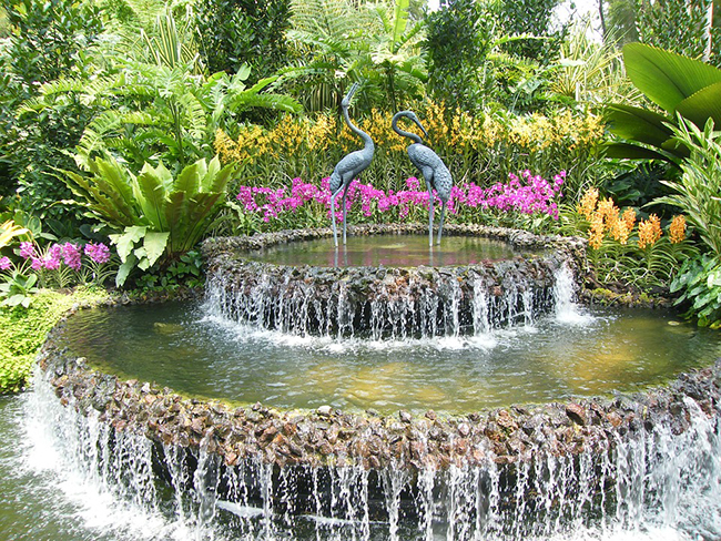 Viel zu sehen im Botanischen Garten