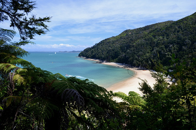 Abel Tasman NP