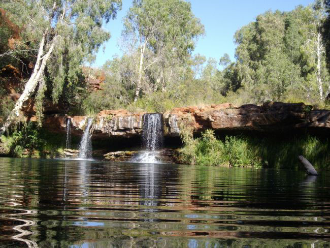 Fern Pool