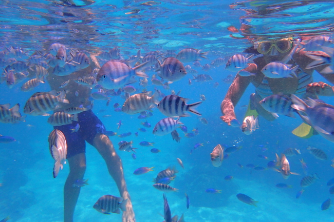 Schnorcheln Bora Bora