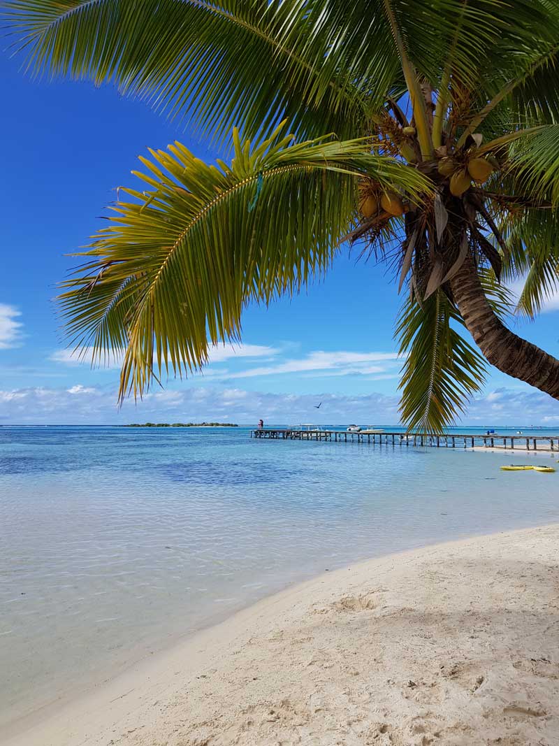 Strand Les Tipaniers Moorea