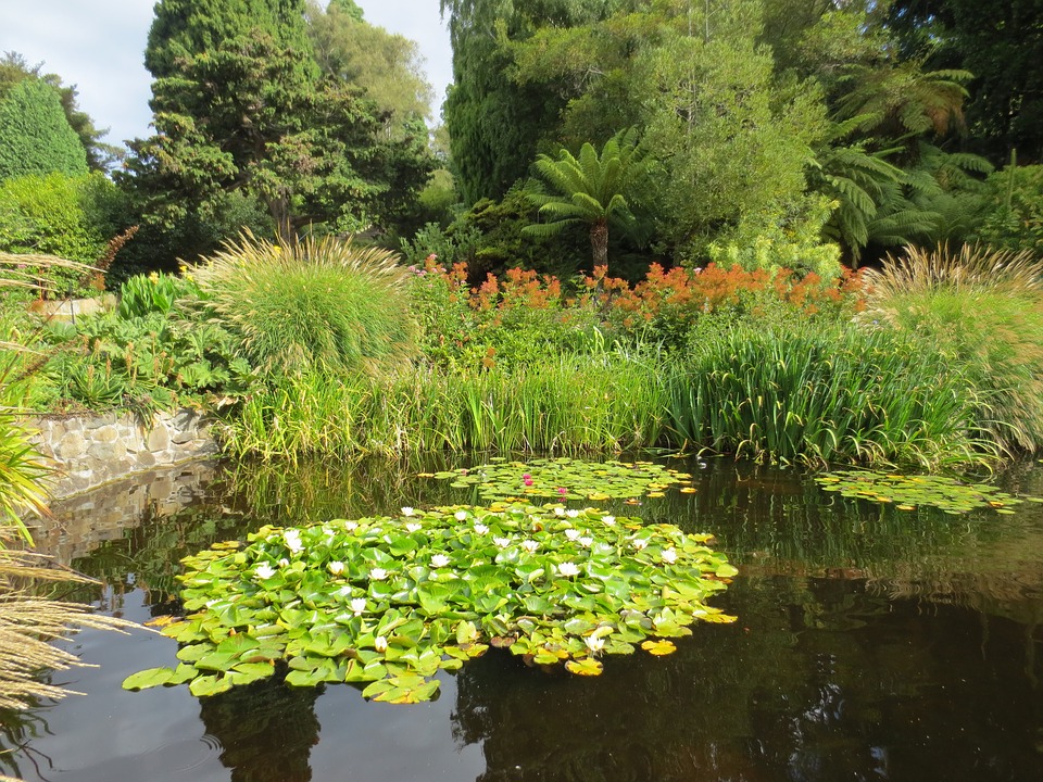 Botanischer Garten Tasmanien