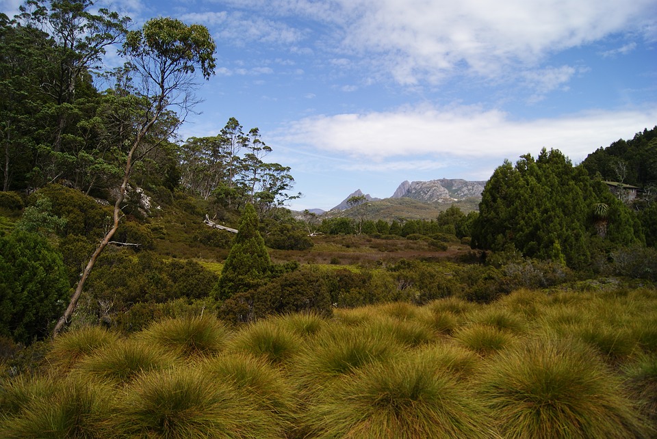 Einer der schönsten NP der Insel: Cradle Mountains