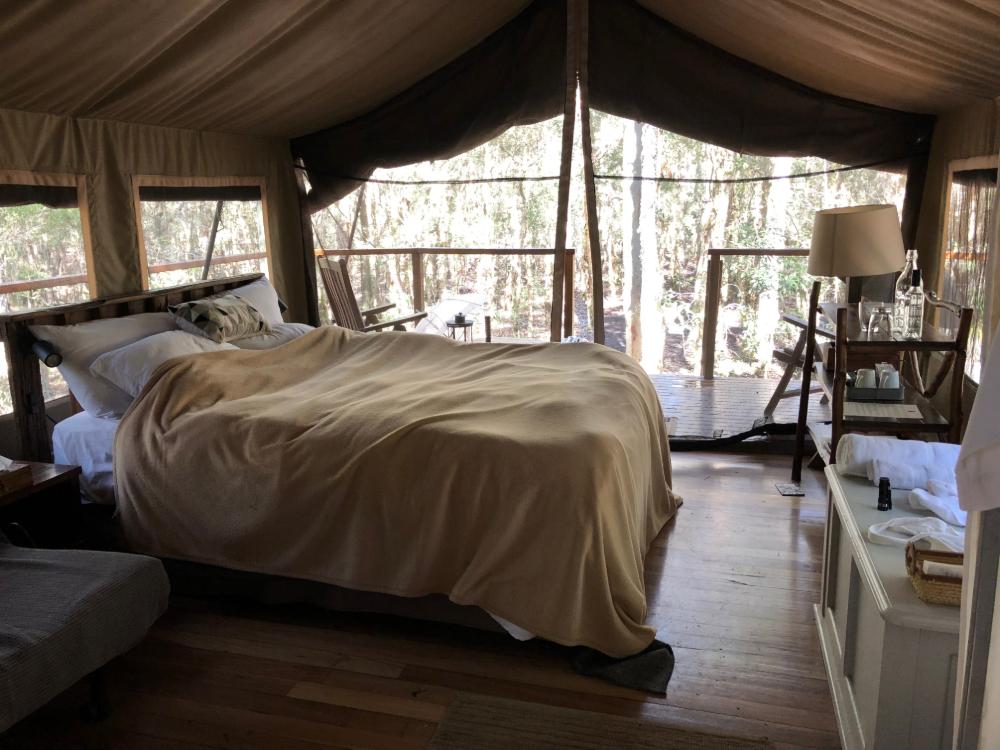 Glamping im Paperback Camp nahe der Jervis Bay Australien