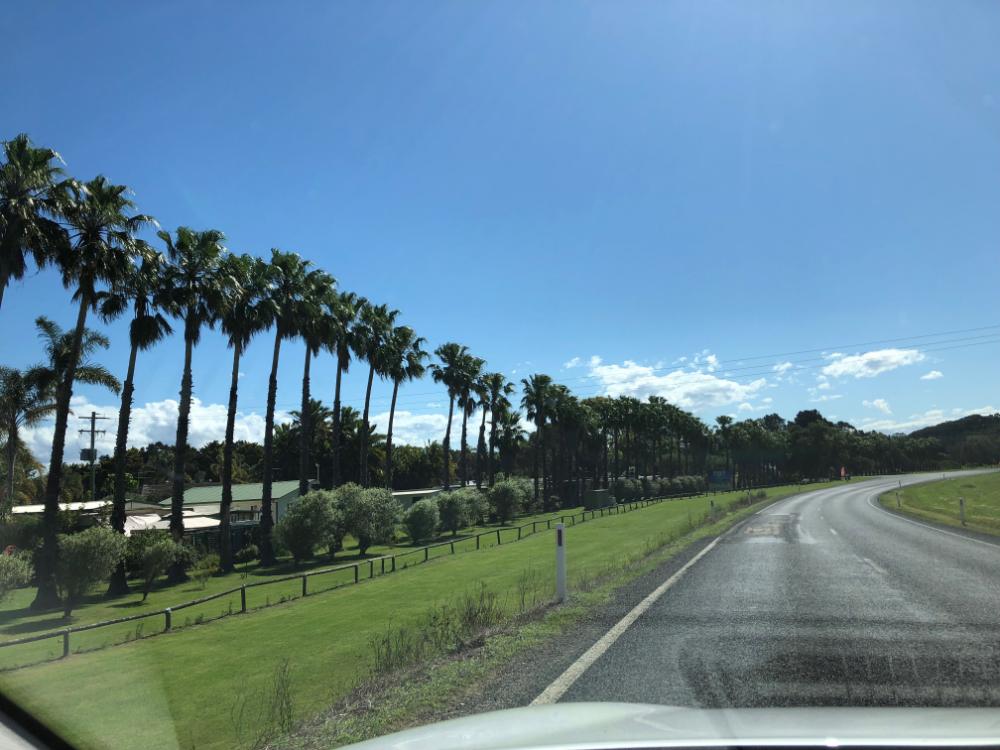 Im Mietwagen unterwegs in Australien