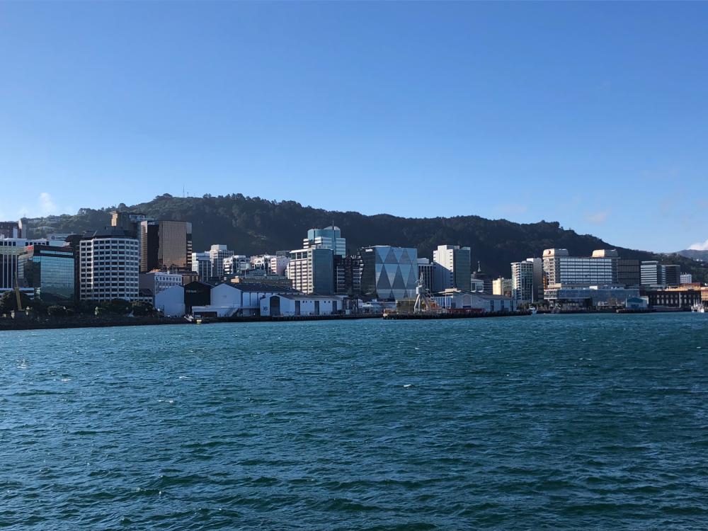 Wellington vom Wasser aus