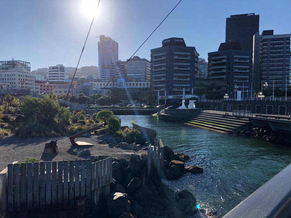 Skyline von Wellington