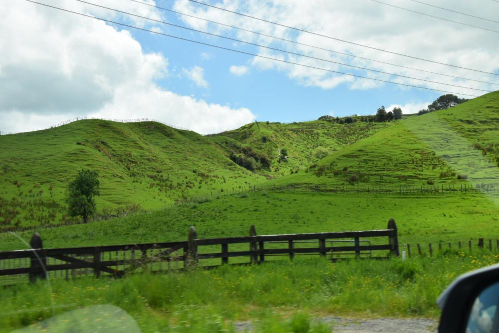 Im Mietwagen durch Neuseeland