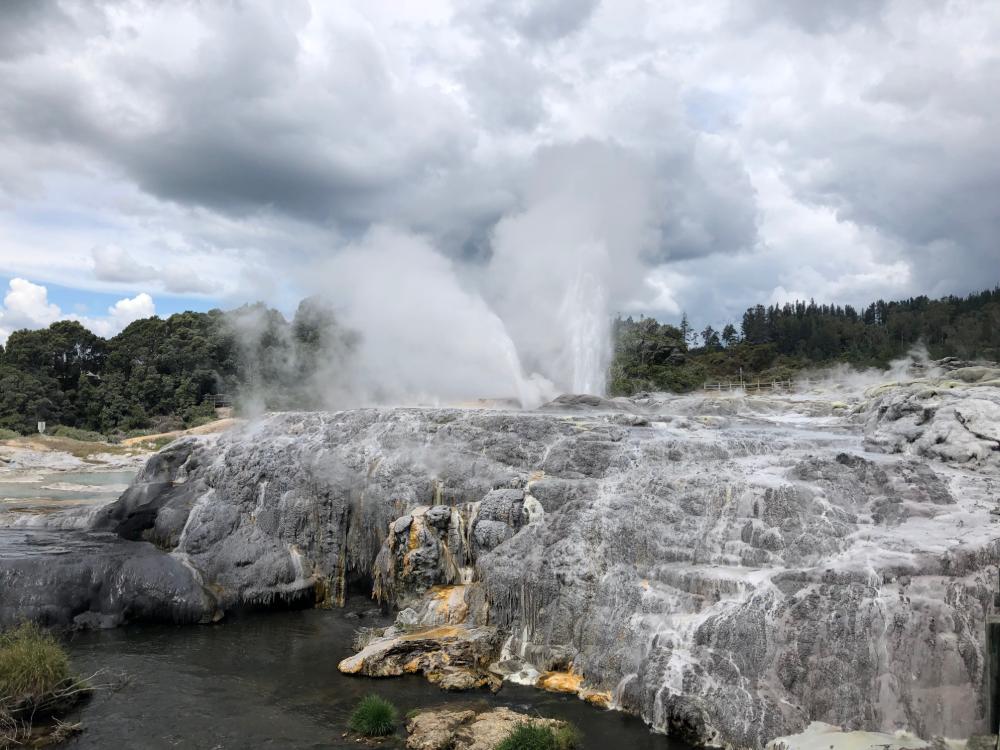 Heiße Schwefelquellen im Te Puia Thermal Park