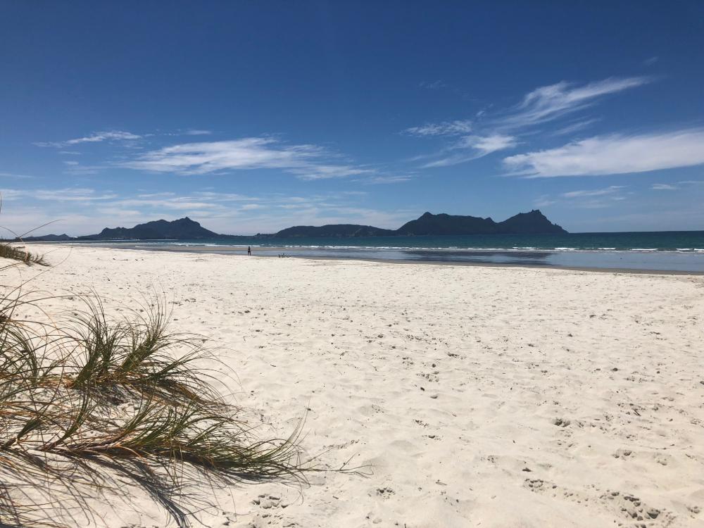 Whangarei Beach