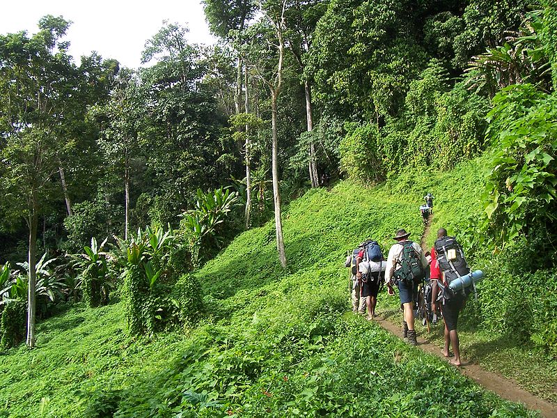 Touristen auf dem Kokoda Track