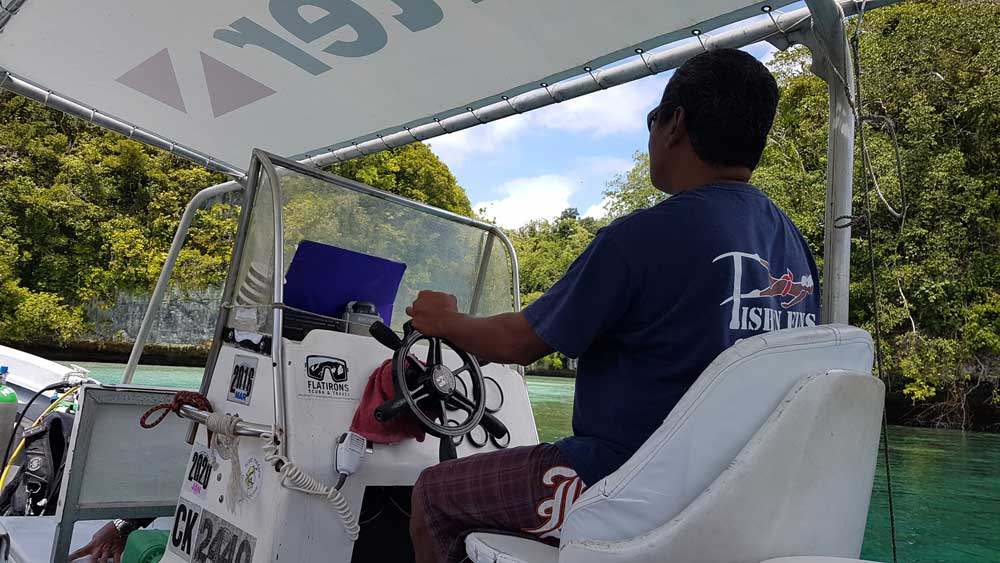 Tauchen mit Fish´n Fins in Palau