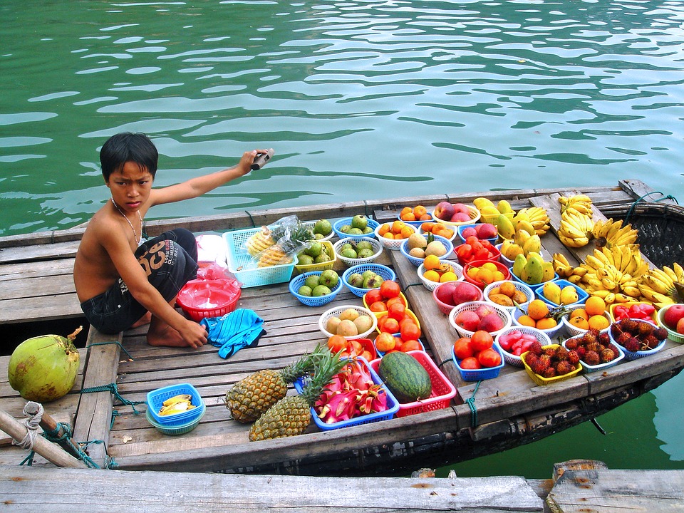 Früchteverkauf in der Halong Bucht