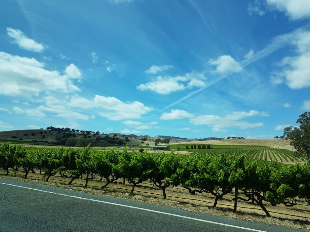 Barossa Valley