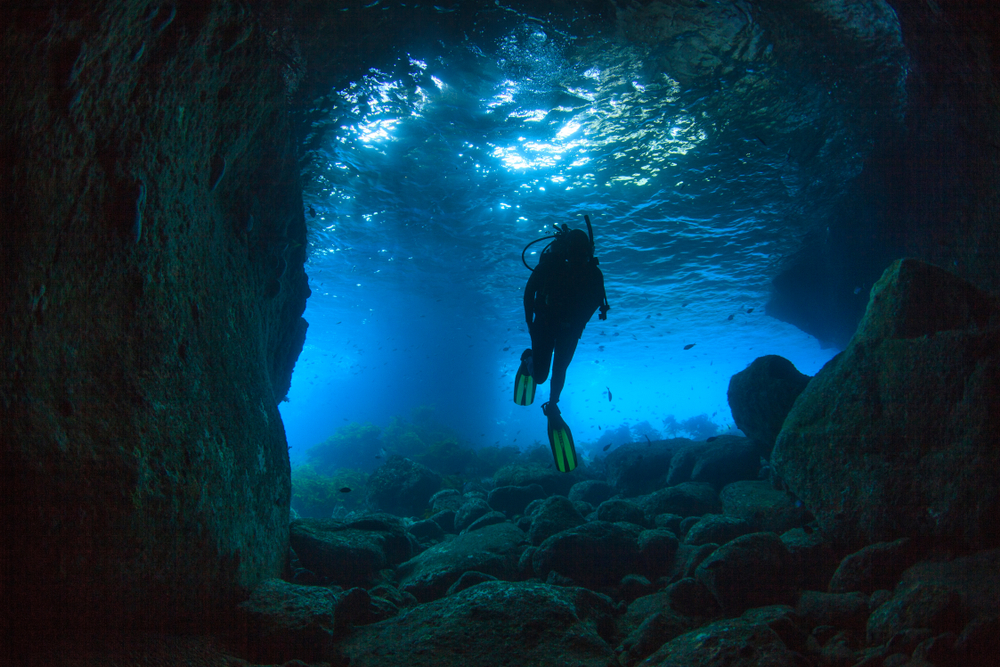 Höhlentaucher Poor Knights Islands