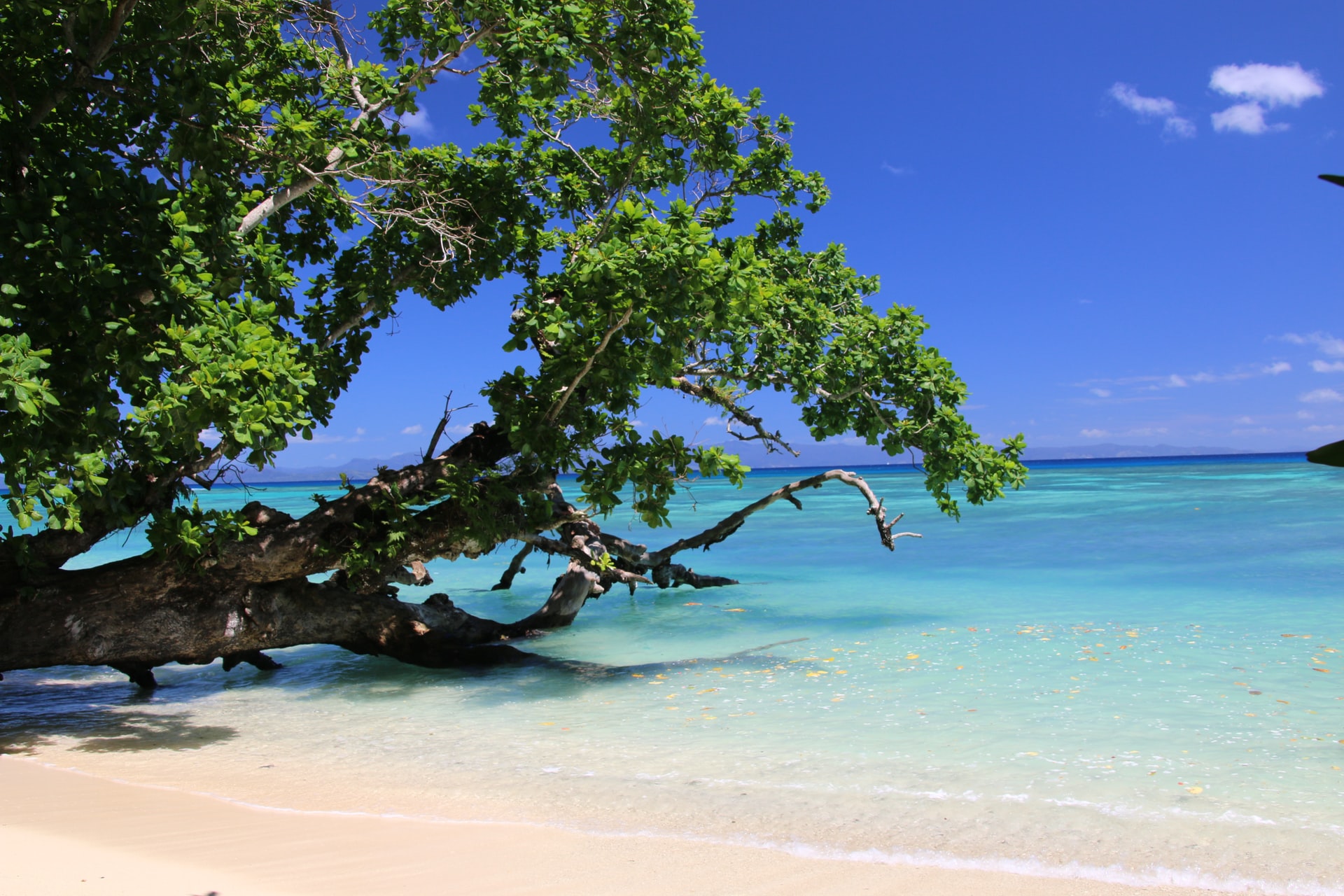 Taveuni Strand