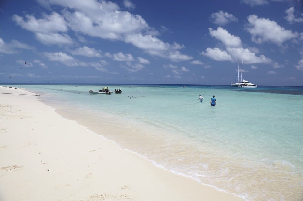 Michaelmas Cay Schnorcheln