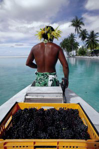 Wein-Tahiti.jpg