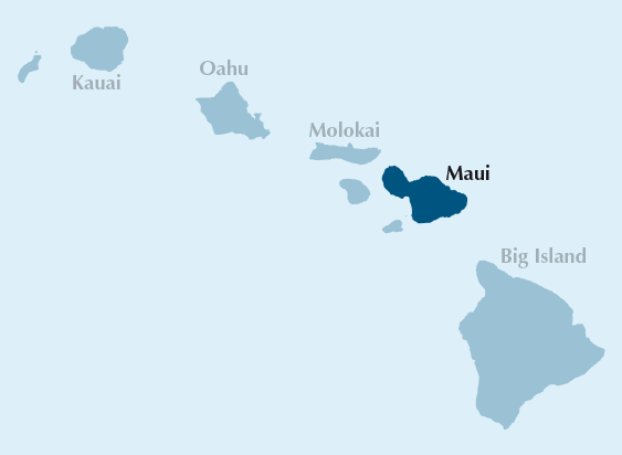 Maui.gif