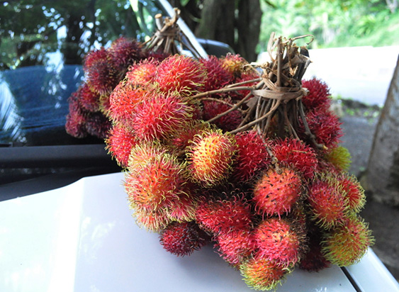 Lychees.jpg