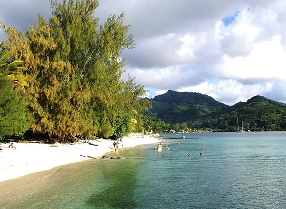 Strand-Fare.jpg