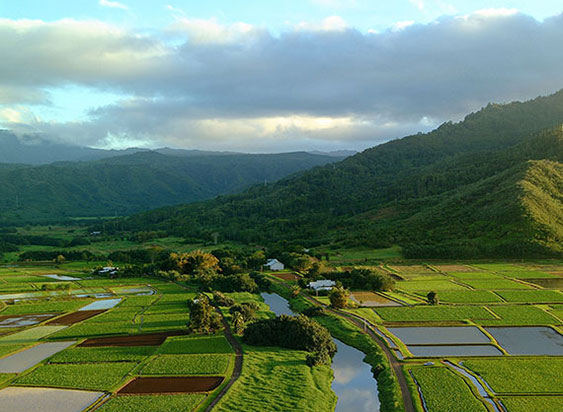 Hanalei-Valley.jpg