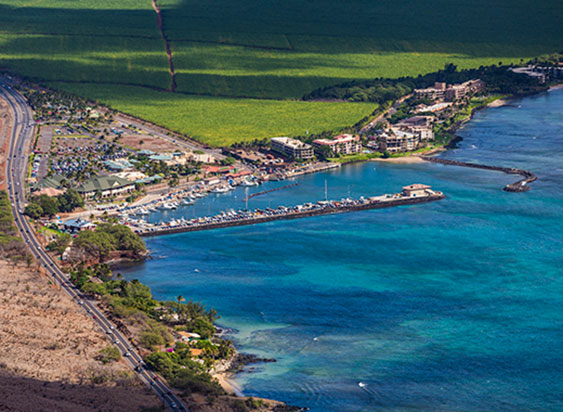 Maui-Ocean-Center.jpg