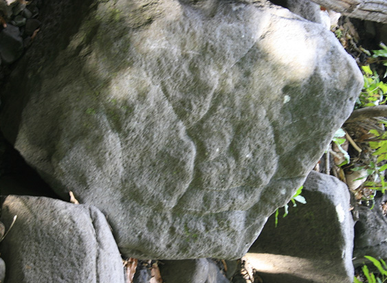 Petroglyph-Maupiti.jpg